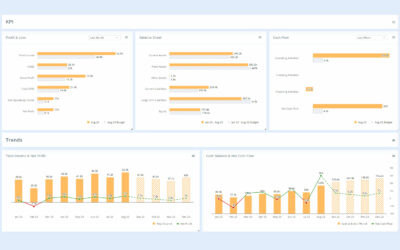 Transforming Financial Data Into Insights